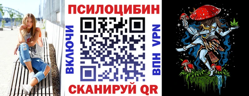 Псилоцибиновые грибы Psilocybe  блэк спрут ссылка  Ковров 