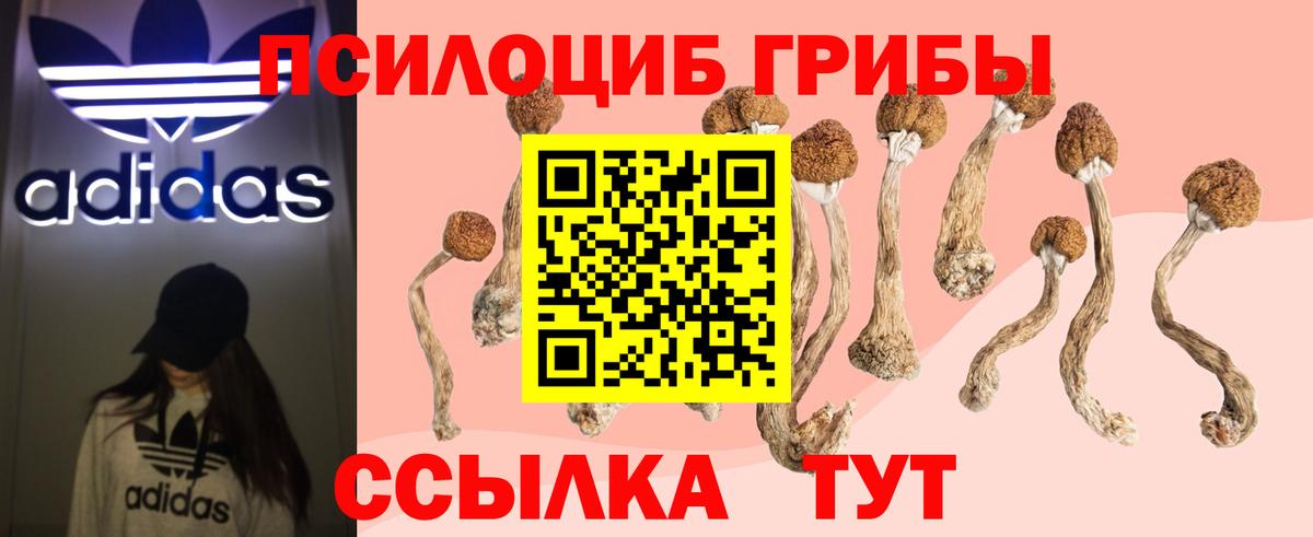 Ковров  Галлюциногенные грибы MAGIC MUSHROOMS  Галлюциногенные грибы мицелий  Вход с VPN 