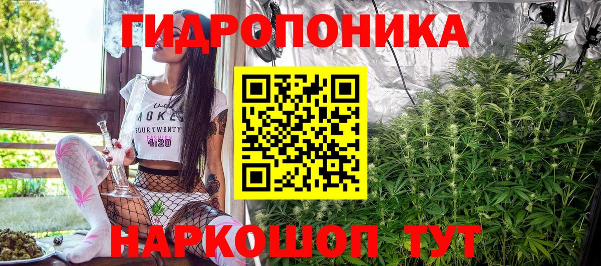Канабис SATIVA & INDICA  Бошки Шишки VHQ  Вход с VPN  Ковров  Шишки марихуана марихуана 